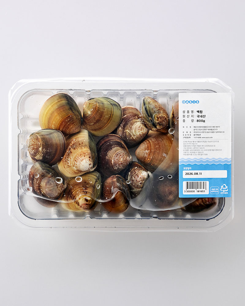 서해안 백합조개 800g(생물)