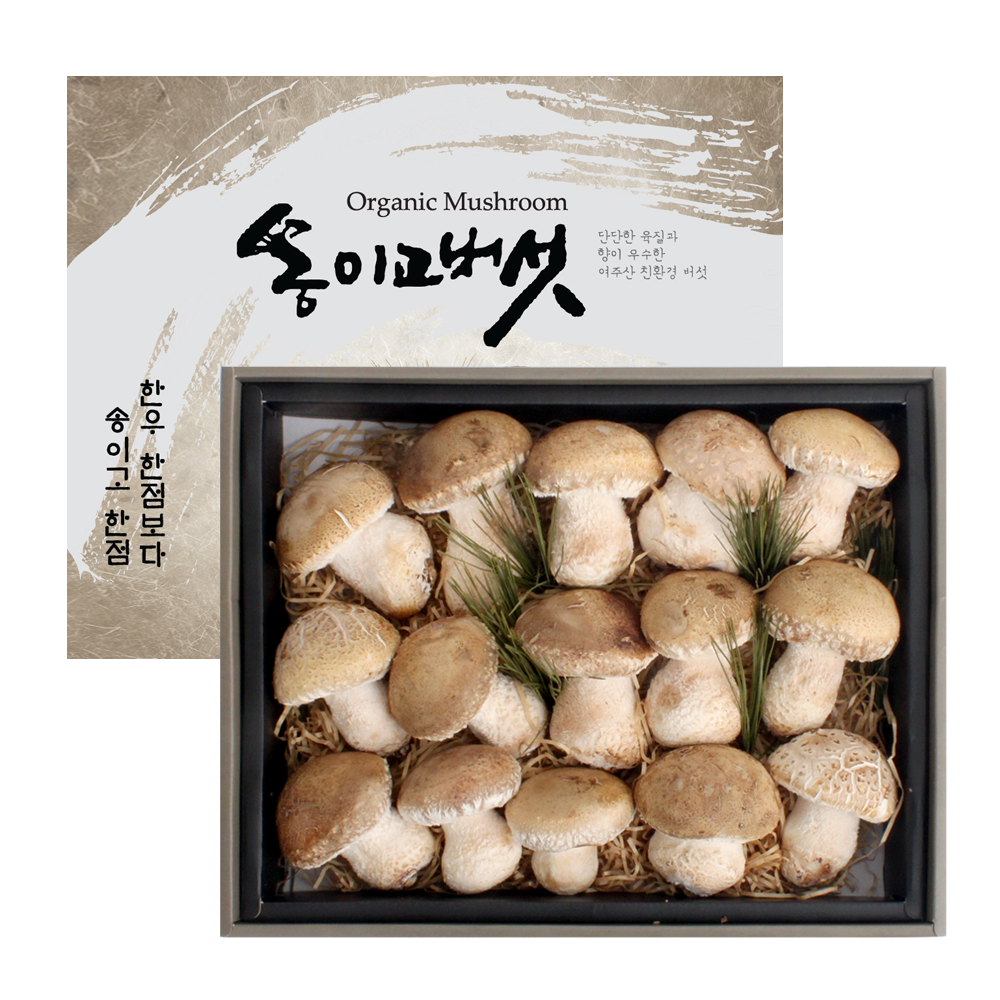 여주산 GAP인증 생버섯 송이고 버섯 선물세트