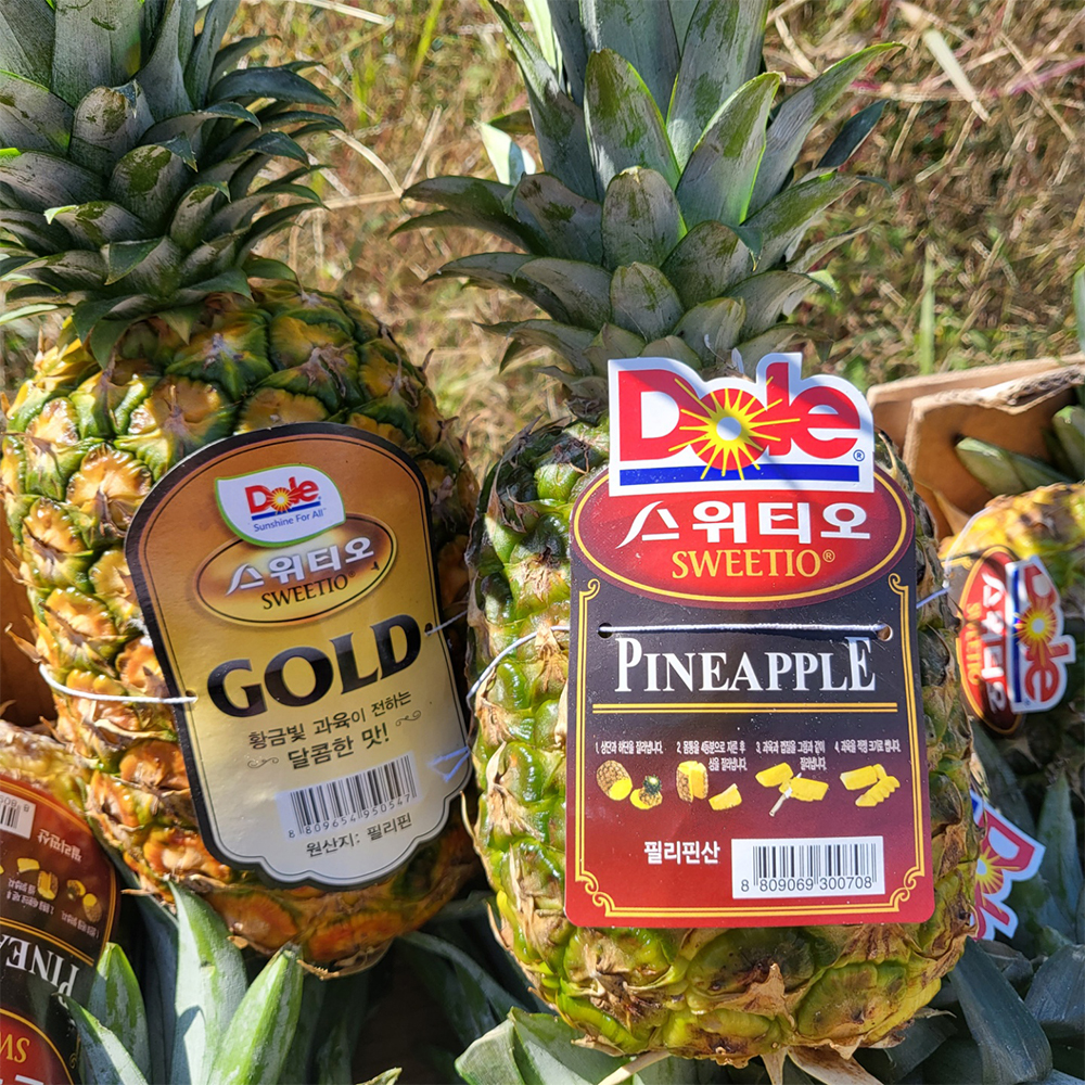 Dole 스위티오 파인애플