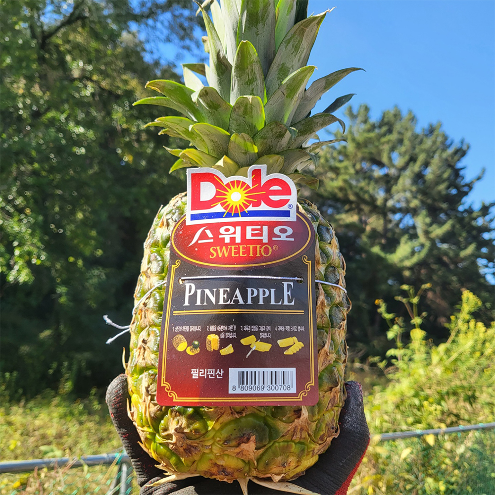 Dole 스위티오 파인애플 대표이미지 섬네일