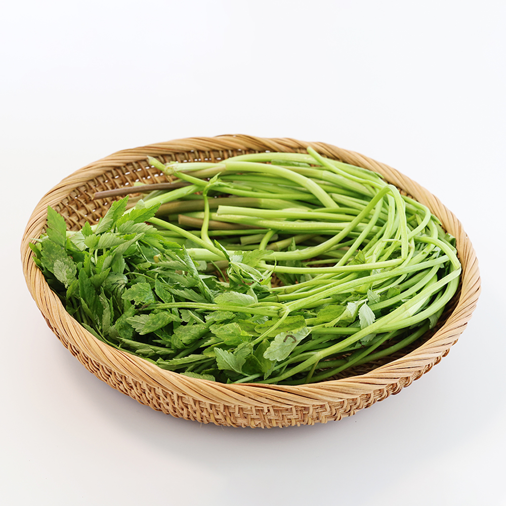 산지직송 청도 미나리 한재미나리