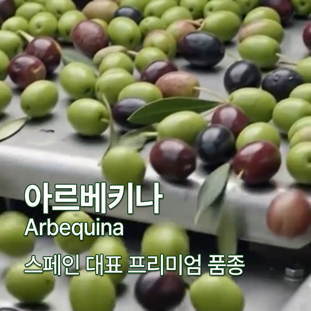 로일리 냉압착 올리브오일 유기농 아르베키나 단일품종 200ml