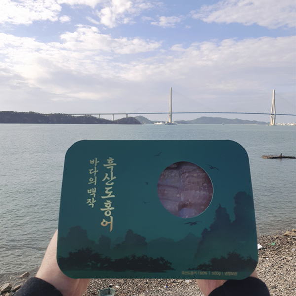 [오커성공] 흑산도 홍어 국내산 홍어 250g 500g 1kg 숙성도 택 1