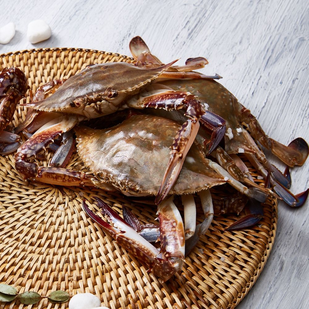 당일조업 제철 빙장 활 왕숫꽃게 1kg 1-3미 외