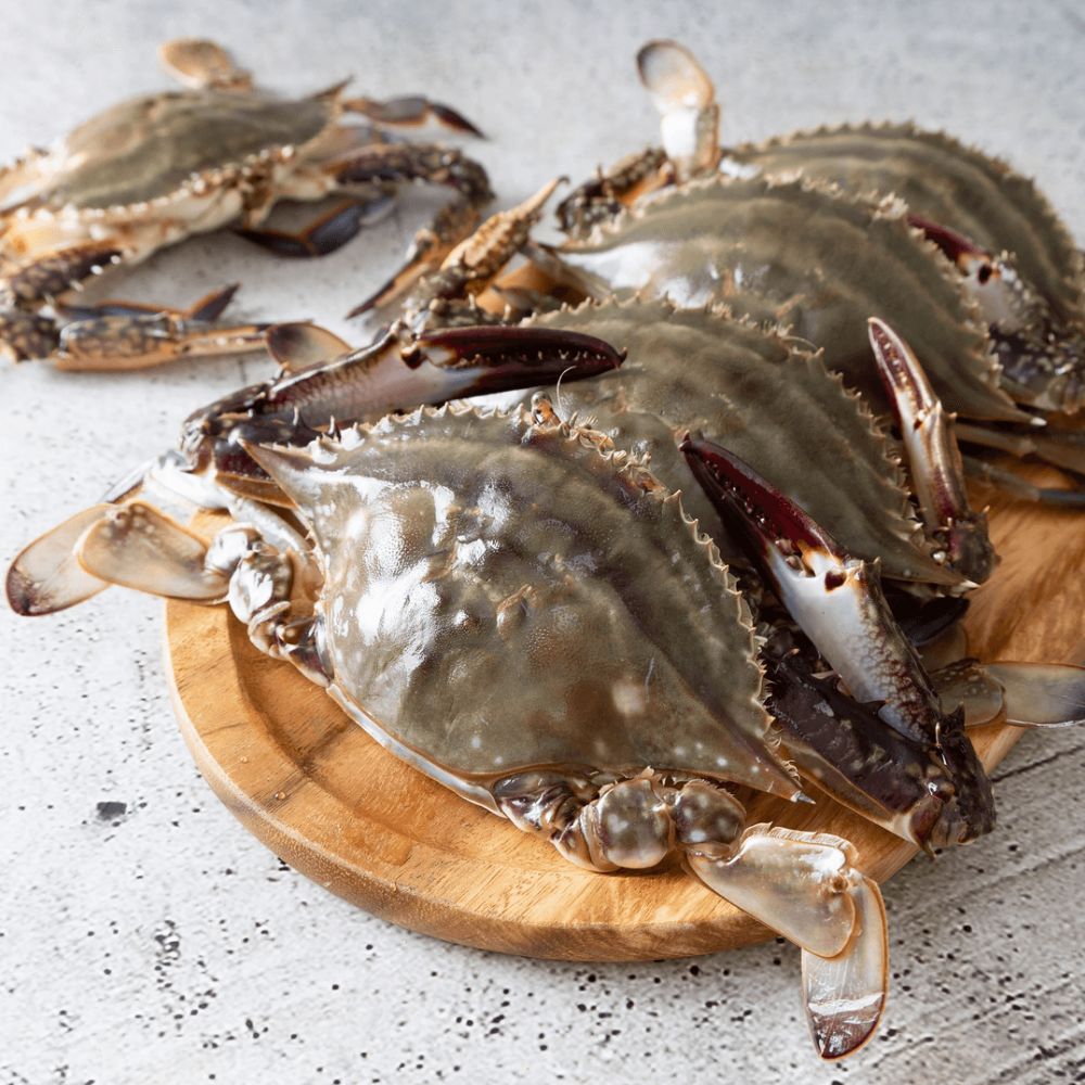 당일조업 제철 빙장 활 왕숫꽃게 1kg 1-3미 외 대표이미지 섬네일