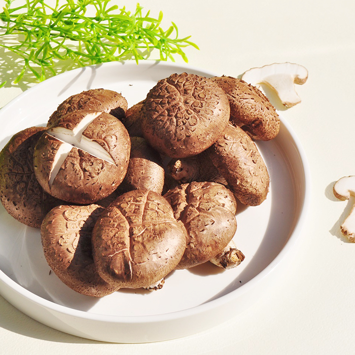 명절선물용 생표고버섯 화고버섯 선물포장 추석선물 2kg 4kg