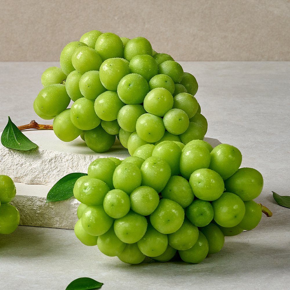 고당도 가정용 샤인머스켓 2kg 4kg