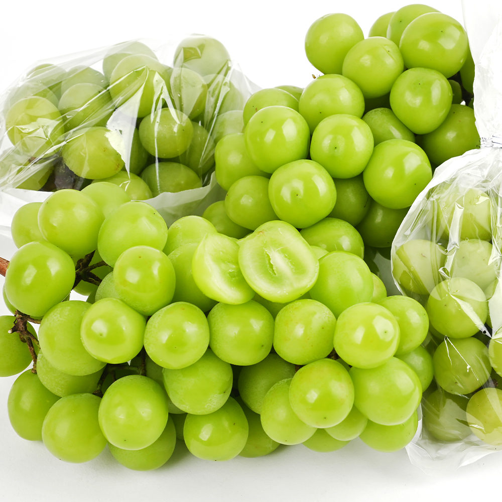 고당도 가정용 샤인머스켓 2kg 4kg