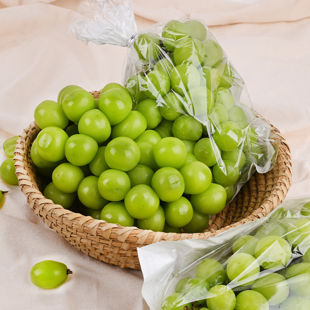 고당도 가정용 샤인머스켓 2kg 4kg