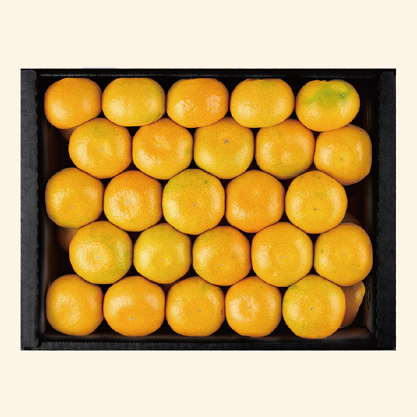 [참마루] 하우스감귤 선물세트 3kg(로얄과)