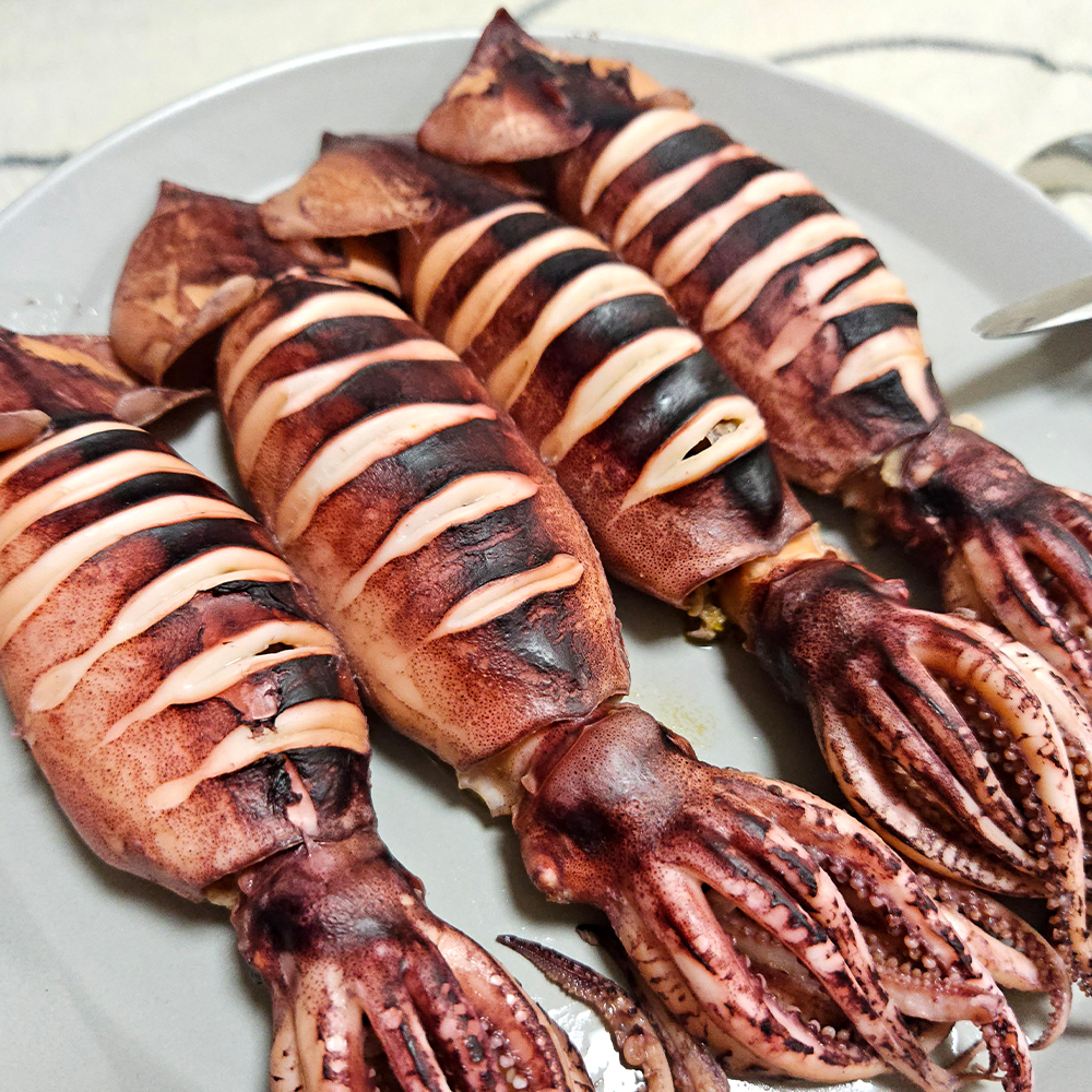 통영 산지직송 생물 오징어 1kg (2-6미 내외)