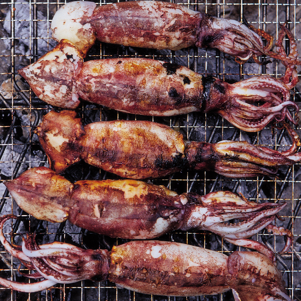 통영 산지직송 생물 오징어 1kg (2-6미 내외)