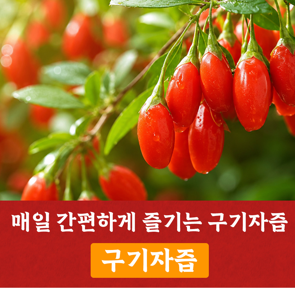 엄마애손 구기자즙 엑기스 진액 (100mlx60포/120포)