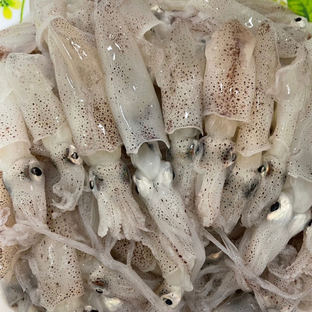 산지직송 바다의 감칠맛 국내산 호래기