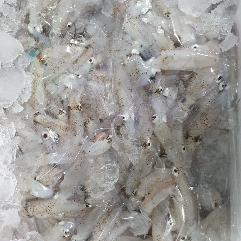 산지직송 바다의 감칠맛 국내산 호래기