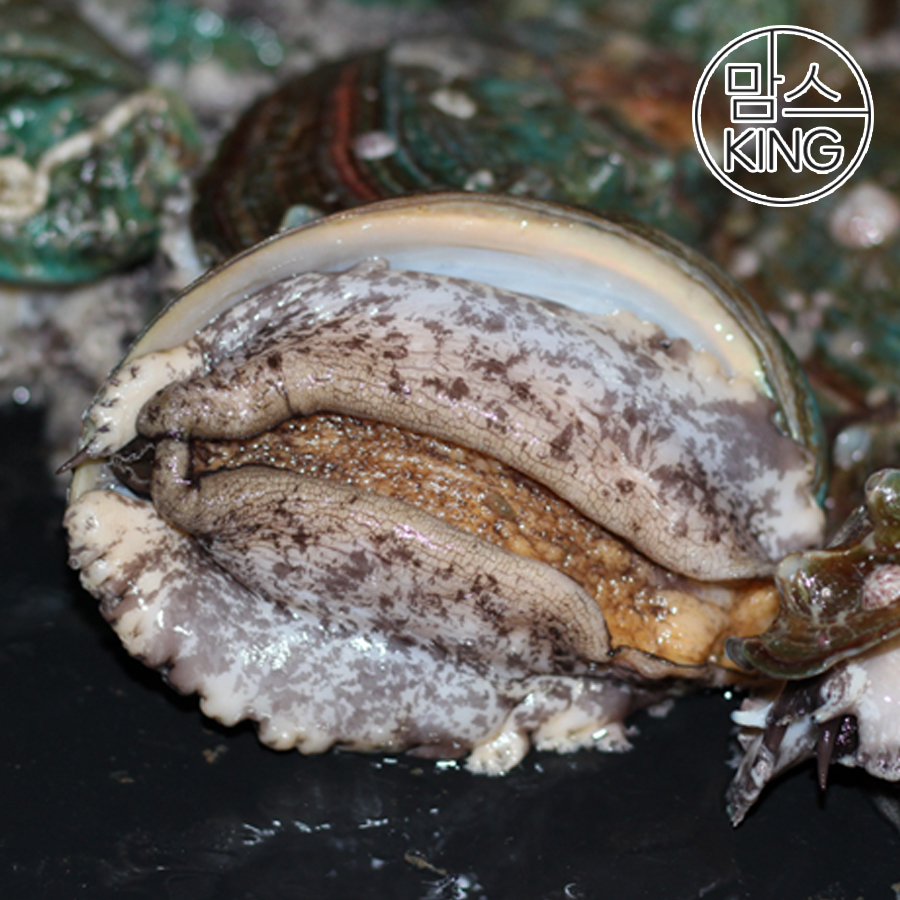 [맘스킹][대운수산] 완도 참전복 1kg/2kg 산소포장 현지직송
