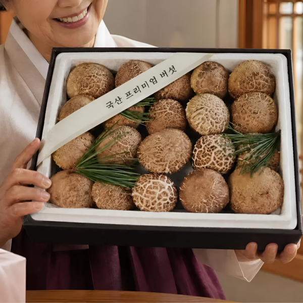 친환경 무농약 고기육질 생 고송버섯 명품 버섯선물세트