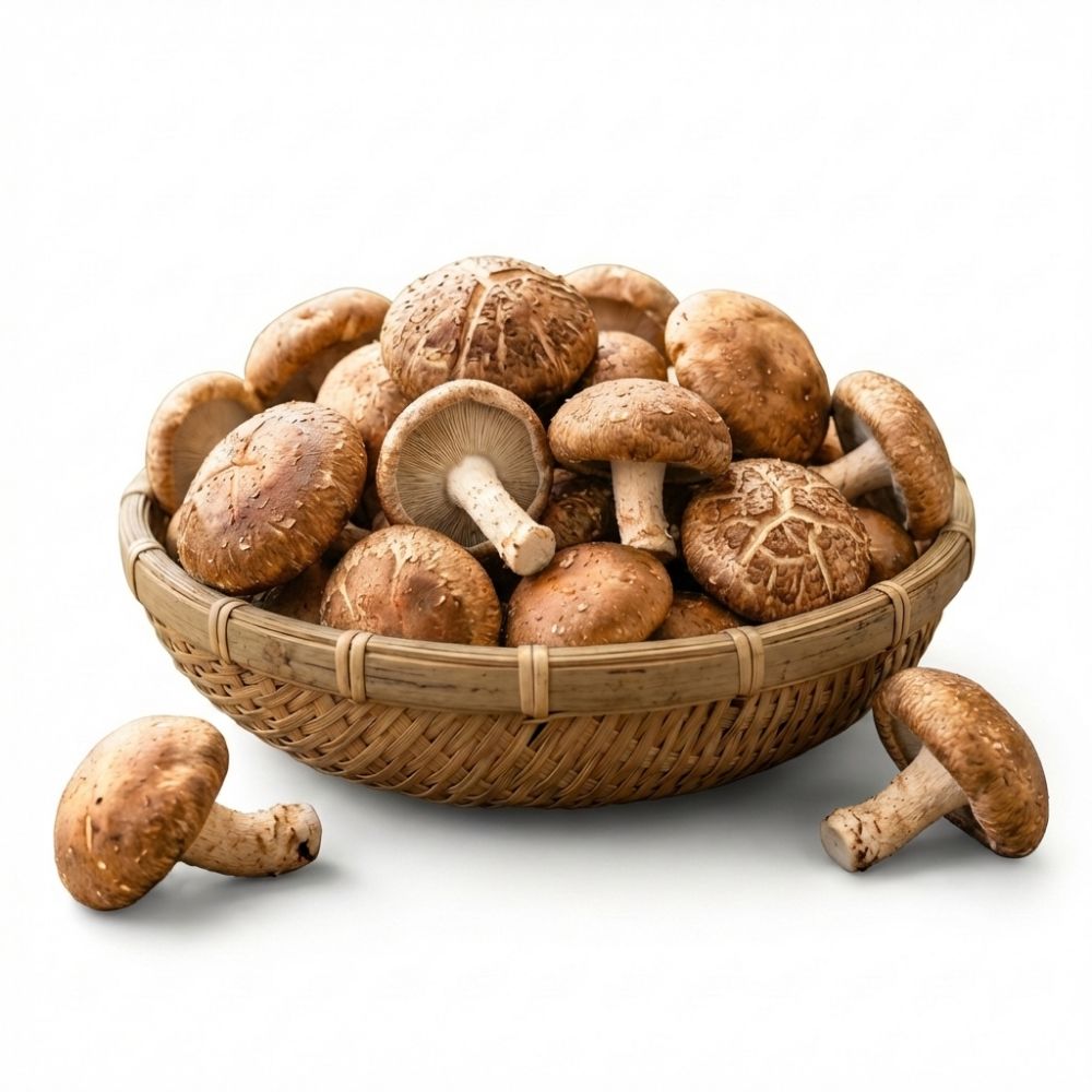국내산 생 표고버섯 산지직송 신선 표고버섯 가정용 상특품 500g 1kg 1.5kg 2kg 대표이미지 섬네일