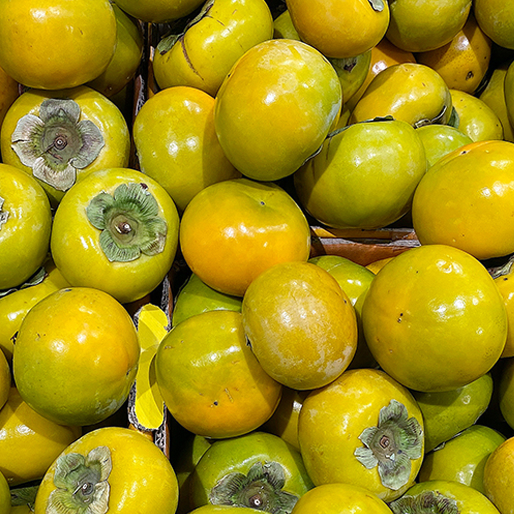 아삭 시원 가을 단감 태추단감 배단감 1kg 2kg 3kg