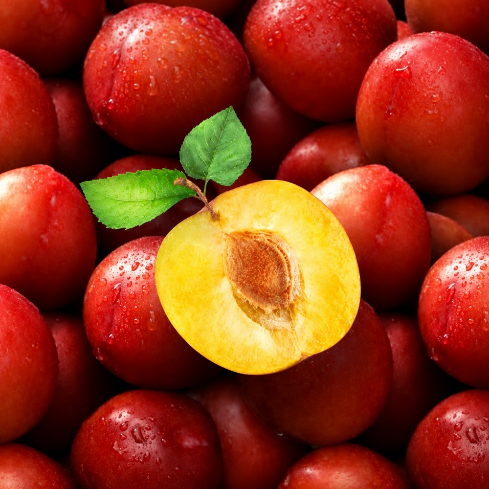 새콤달콤 왕자두 추희자두 1kg, 2kg, 4kg(가정용,상,특,왕특)