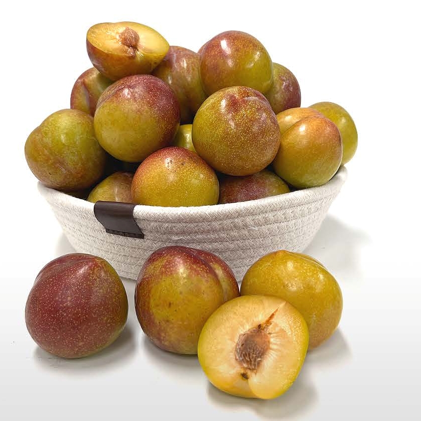 새콤달콤 왕자두 추희자두 1kg, 2kg, 4kg(가정용,상,특,왕특)