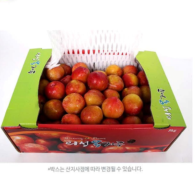새콤달콤 왕자두 추희자두 1kg, 2kg, 4kg(가정용,상,특,왕특) 대표이미지 섬네일