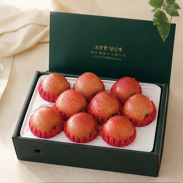 [오커최고] 홍로 사과 2.5kg 5kg 선물세트 대표이미지 섬네일