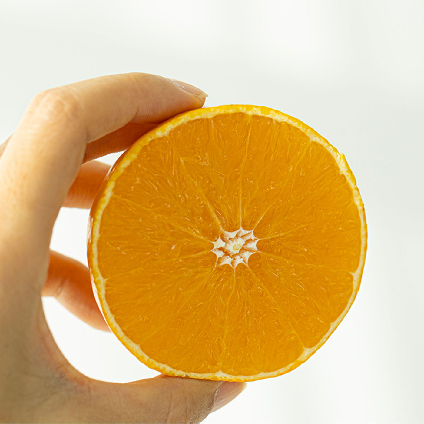 제주에서 온 참 맛있는 가정용 못난이 황금향