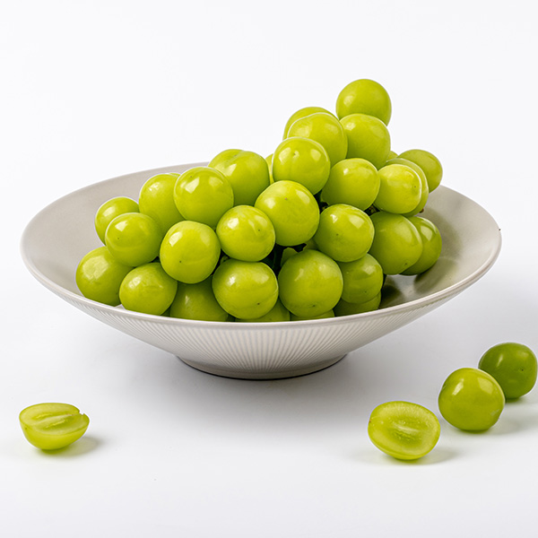 [햇땅] 햇 샤인머스켓 1kg 2kg 가정용 특품 택1