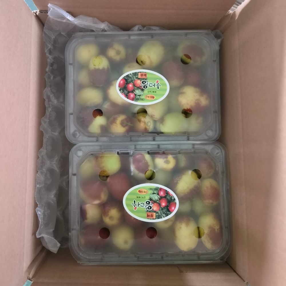 국내산 사과대추 아삭 달콤 생대추 중과 특과 500g 1kg