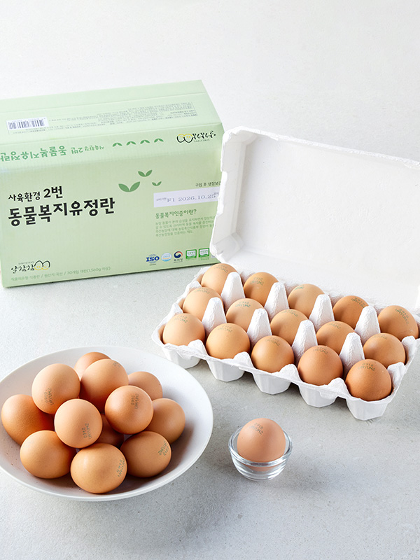 무항생제 동물복지유정란(15구*2팩) 대표이미지 섬네일