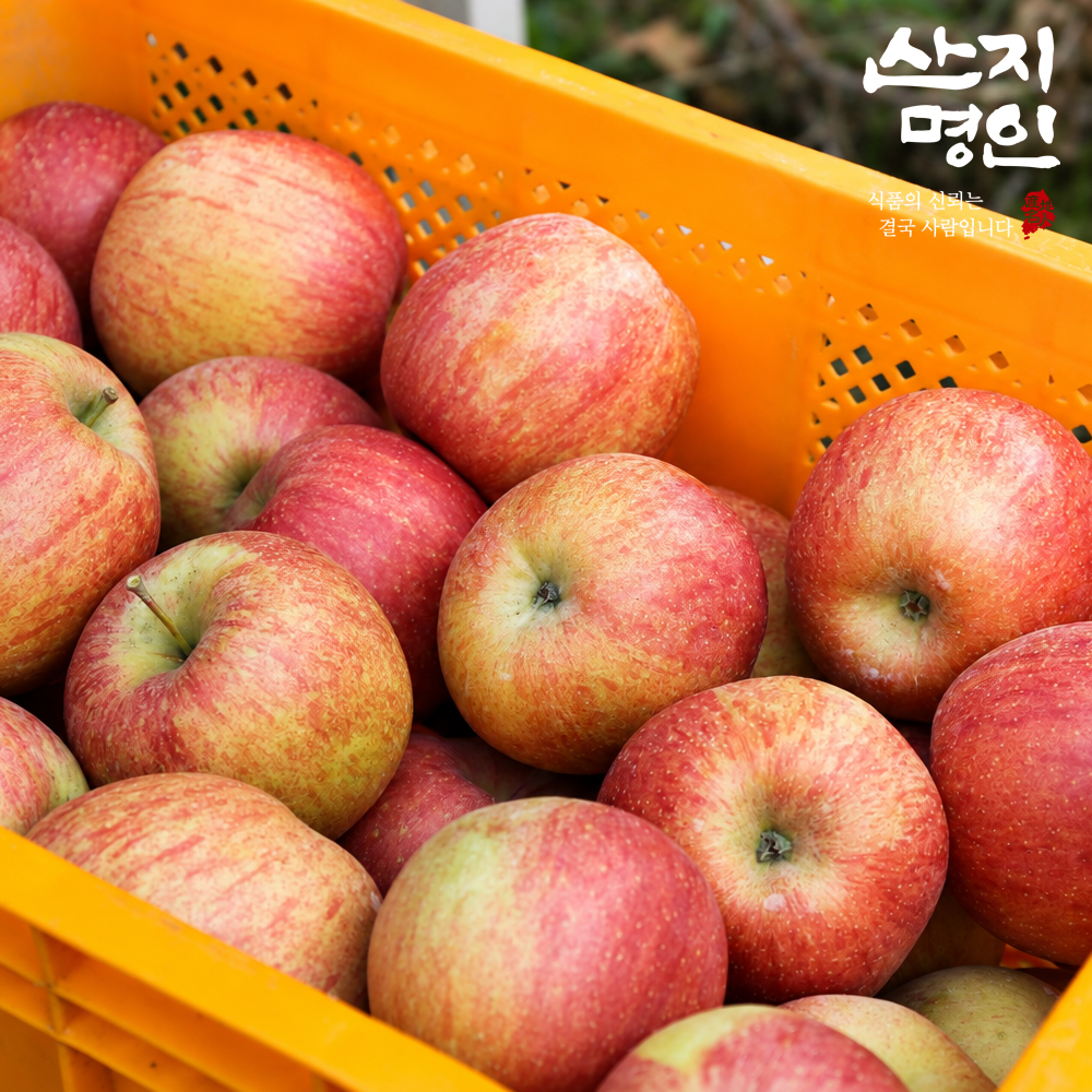 [산지명인] 26년 제철 사과 2kg 홍로 부사 꿀사과
