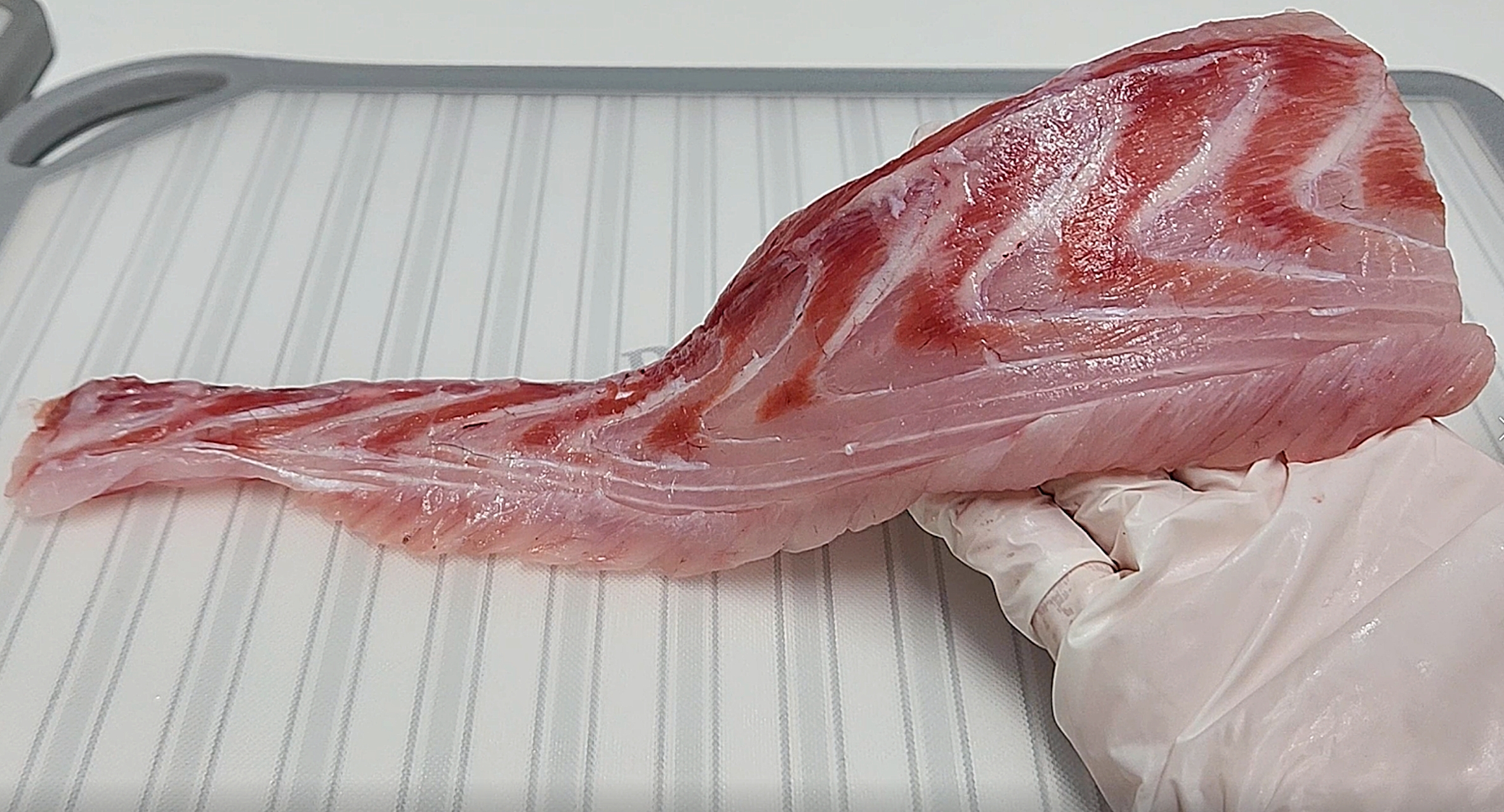보양식 자연산 신안 임자도 민어 3~8kg 필렛 분리 손질