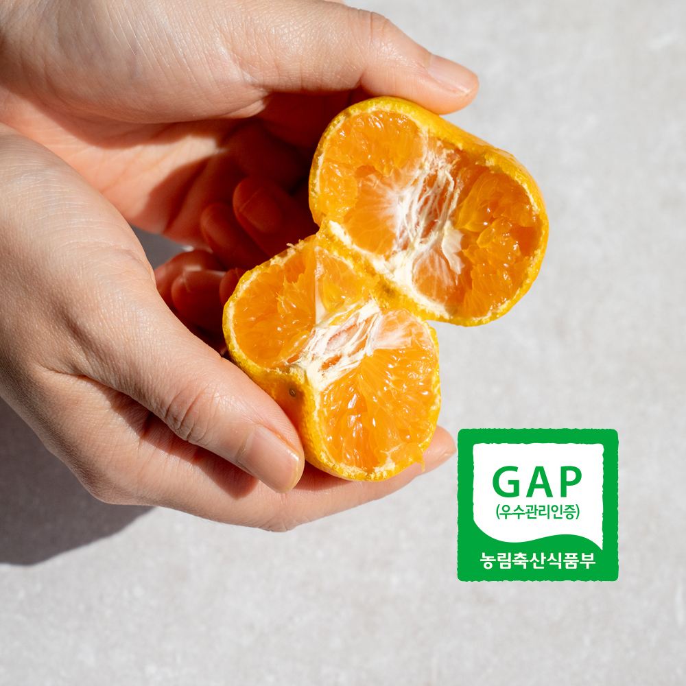 서귀포 GAP인증 AI당도선별 제주 감귤 올레길감귤 산지직송 LD