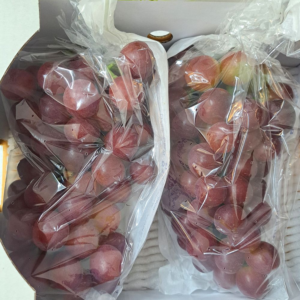 국내산 레드클라렛 포도 씨없는 적포도 껍질째 먹는 프리미엄 포도 1kg 2kg 대표이미지 섬네일