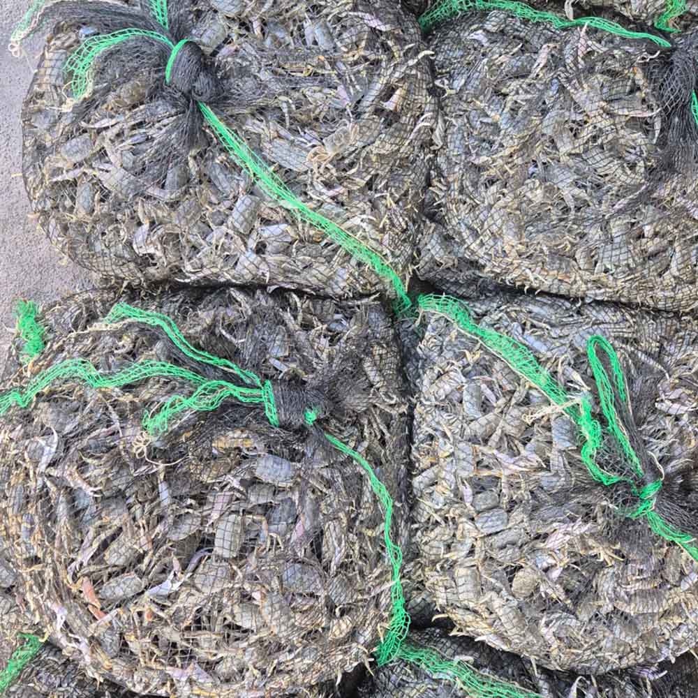 국내산 급냉 별랑 칠게 500g 50미 내외