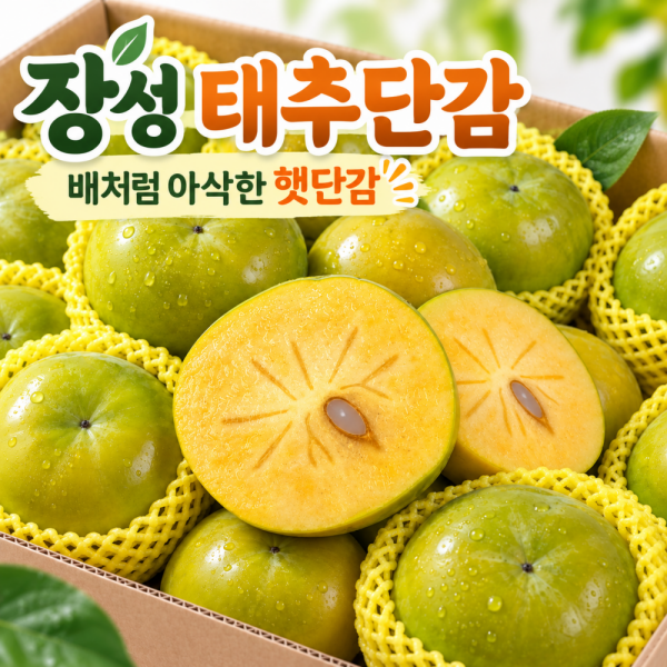 장성 태추단감 배처럼 아삭한 햇단감 제철과일 산지직송
