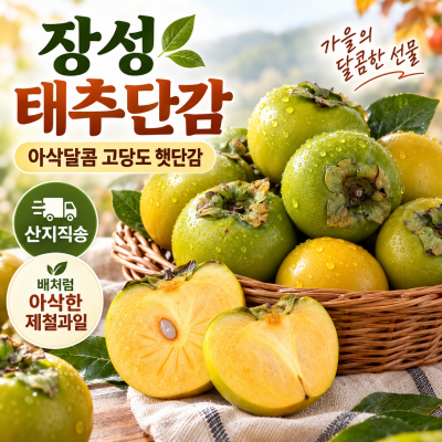 장성 태추단감 배처럼 아삭한 햇단감 제철과일 산지직송 대표이미지 섬네일