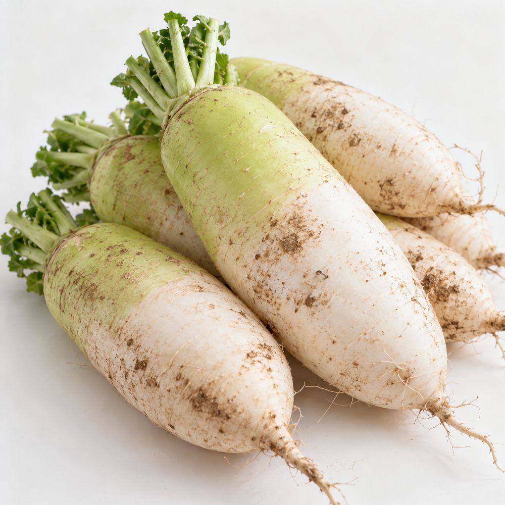 국내산 무 흙무 신선한 가정용 무 제철 채소 김장 깍두기용 2kg 3kg 5kg 7kg 10kg 대표이미지 섬네일