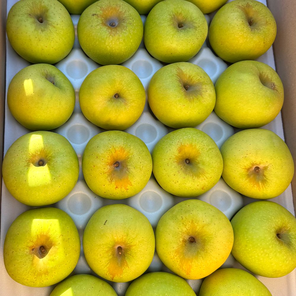 국내산 시나노골드 사과 아삭 달콤 노란 사과 가정용 소과 중과 1kg 2kg 3kg 5kg
