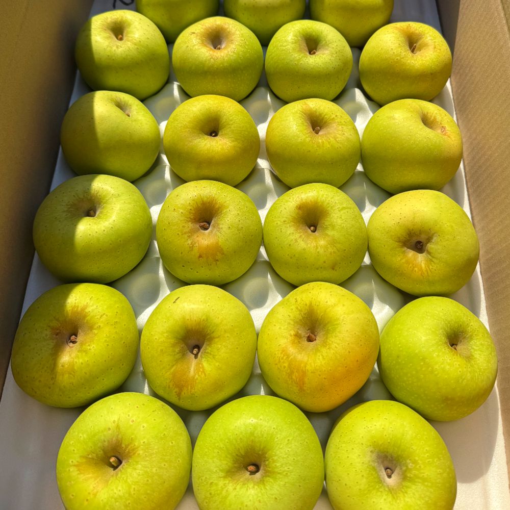 국내산 시나노골드 사과 아삭 달콤 노란 사과 가정용 소과 중과 1kg 2kg 3kg 5kg