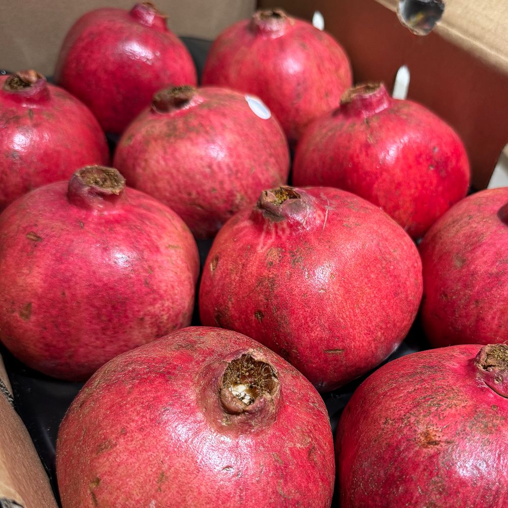 수입산 석류 새콤달콤 과즙가득 생석류 중과 1kg 2.5kg 5kg