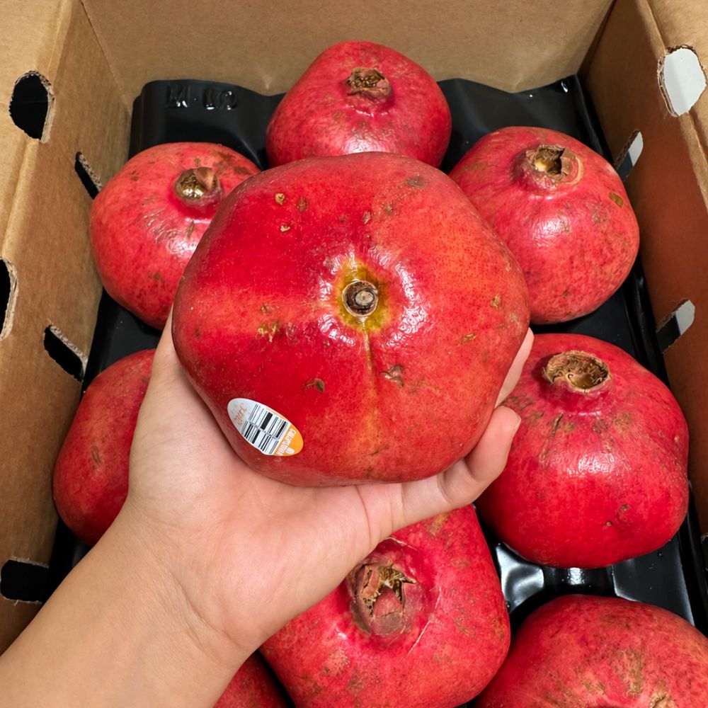 수입산 석류 새콤달콤 과즙가득 생석류 중과 1kg 2.5kg 5kg