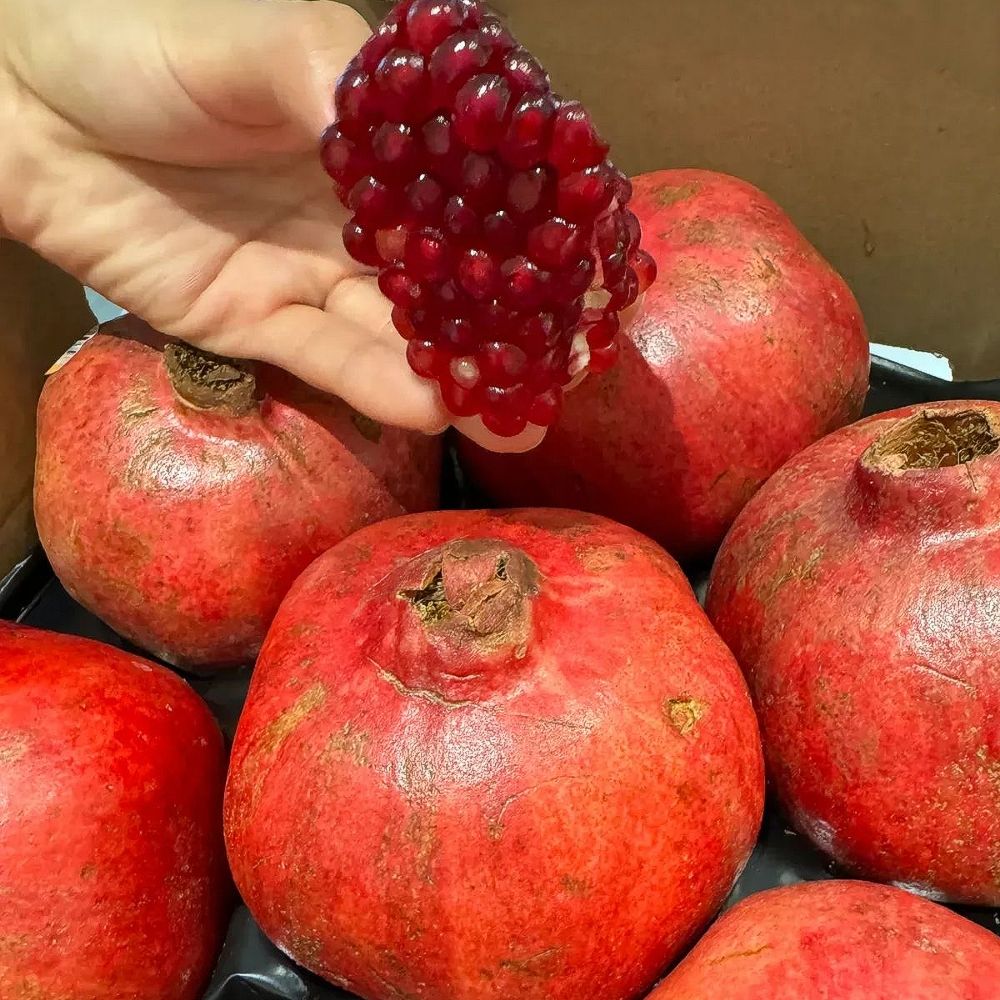 수입산 석류 새콤달콤 과즙가득 생석류 중과 1kg 2.5kg 5kg