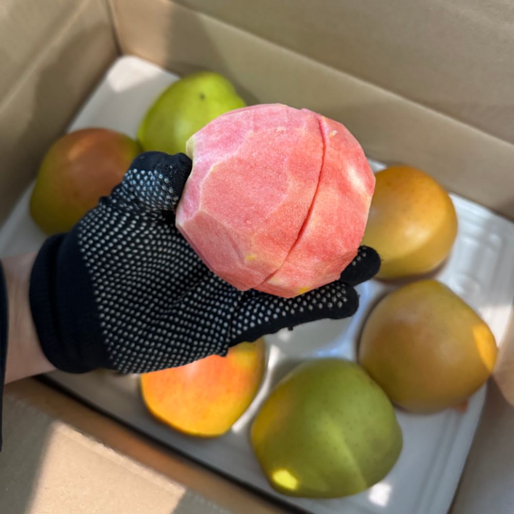 국내산 골든피치애플 노란사과 새콤달콤 가정용 사과 1kg 2kg 3kg 5kg