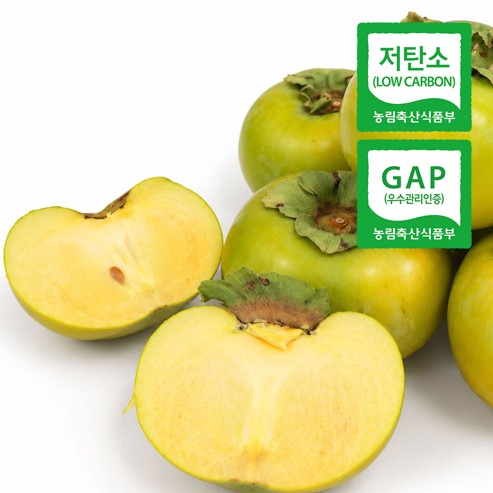 가을 첫 단감 저탄소 태추단감 대표이미지 섬네일