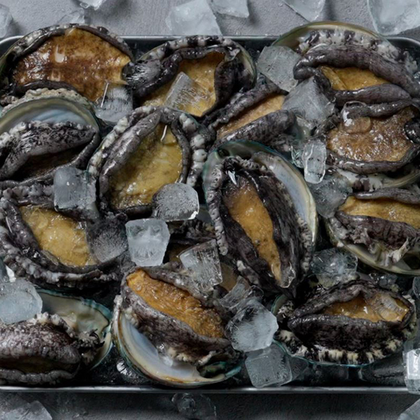 [오커최고] 완도 활전복 당일 채취 산소포장 1kg
