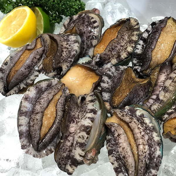 [오커최고] 완도 활전복 당일 채취 산소포장 1kg 대표이미지 섬네일