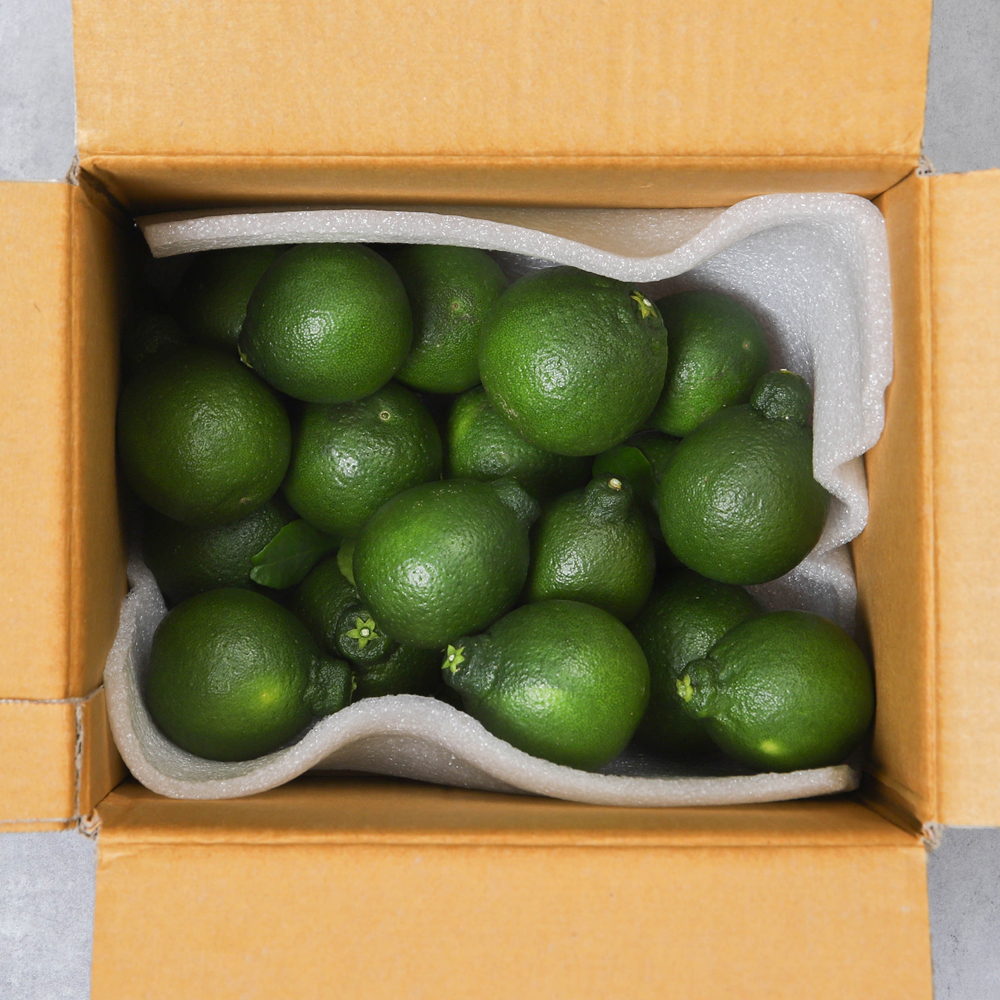 청한라봉 청귤 한라봉 1kg