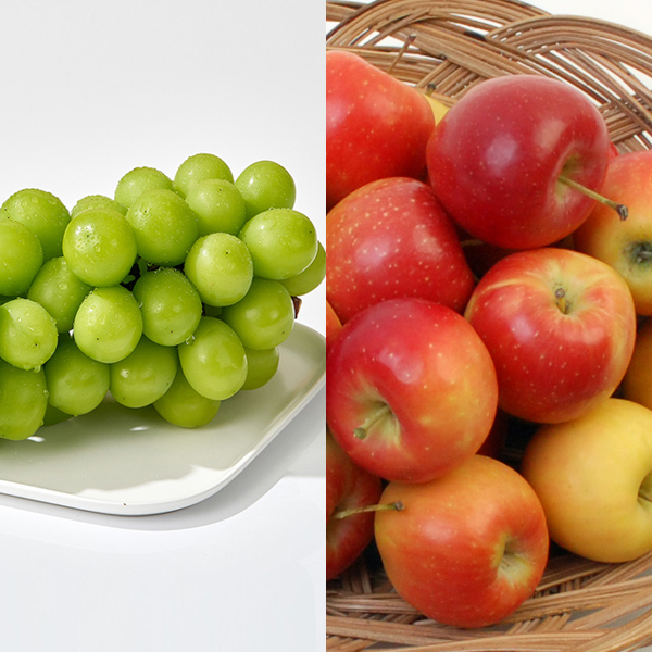 [참마루] 샤인머스켓 2kg(2~4수)+루비에스 미니사과 2kg_가정용 대표이미지 섬네일